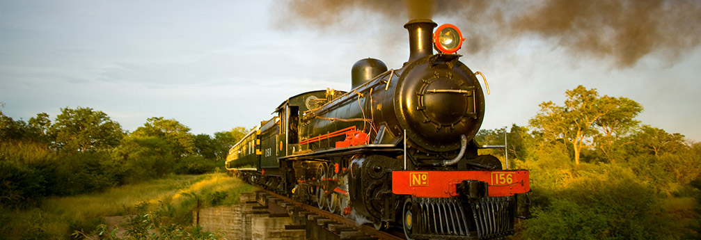 Train travel packages